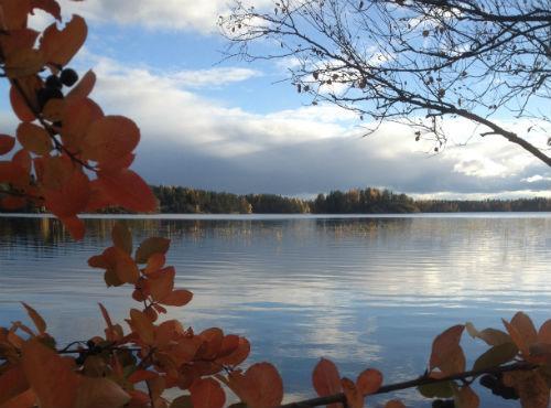 Villa Koivuranta Raijan Aitta Kalmo Esterno foto